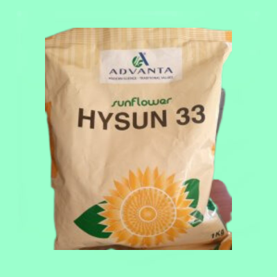 Hysun 33 Sunflower - 1 Kg