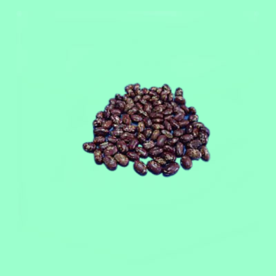 Kenya Mavuno