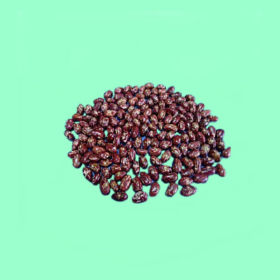 Kenya Tamu
