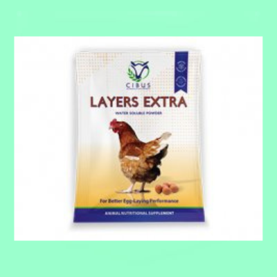 Layers Extra