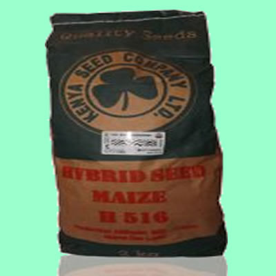 Maize - Highland Varieties