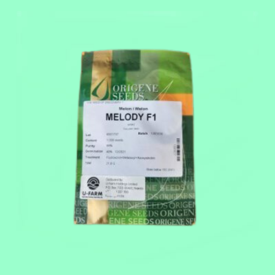 Melody F1 Sweetmelon (Cantaloupe)