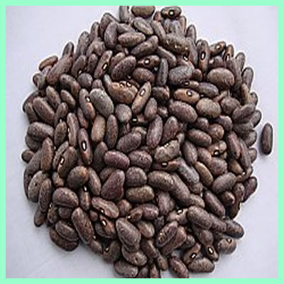 Mwezimoja (GLP1127)