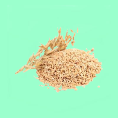 Oats S18 - 1 Kg