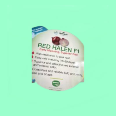 Onion Red Halen F1