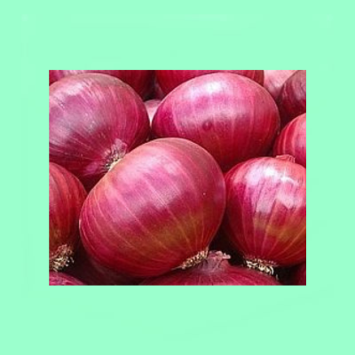 Onion Sivan F1