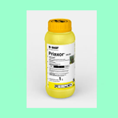 Priaxor® 225 EC - 1 Litre