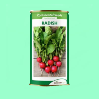 Radish Cherry Belle