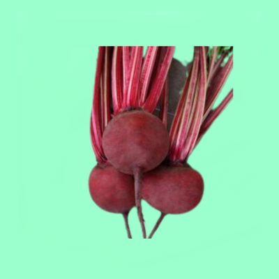 Red Beet Detroit Elna