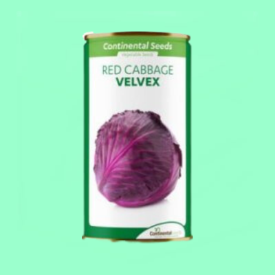 Red Cabbage Velvex