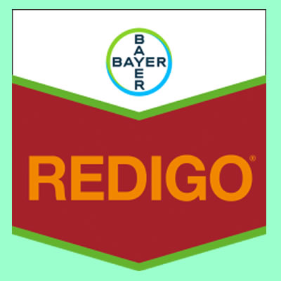 Redigo Deter FS300 - 5L