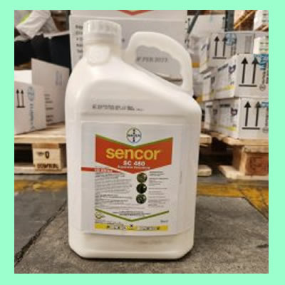 Sencor SC480