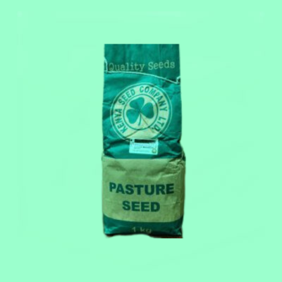 Sudan Grass - 1Kg