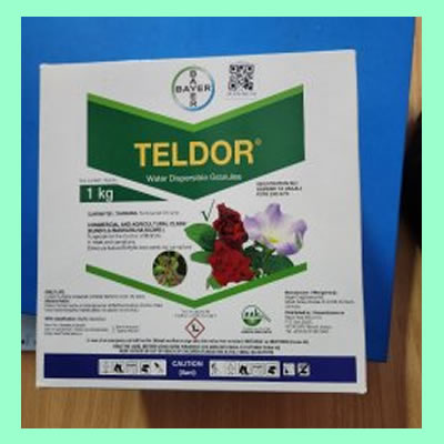 Teldor WG50 - 1Kg