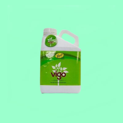 Vigo