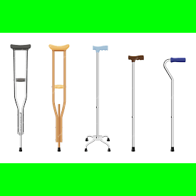 WALKING STICKS