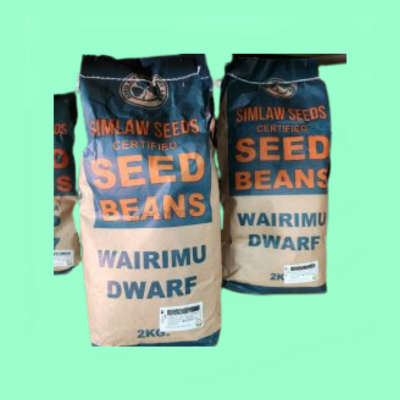 Wairimu Dwarf