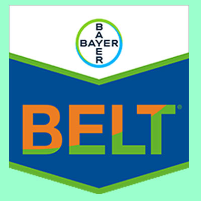 Belt SC 480