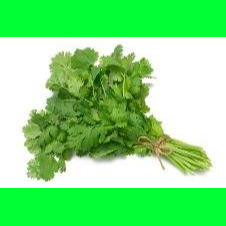 Coriander Santos F1