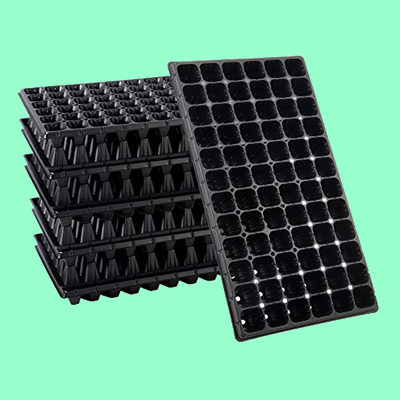 Seeding Trays