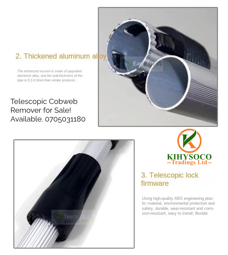 Telescopic Cobweb Remover