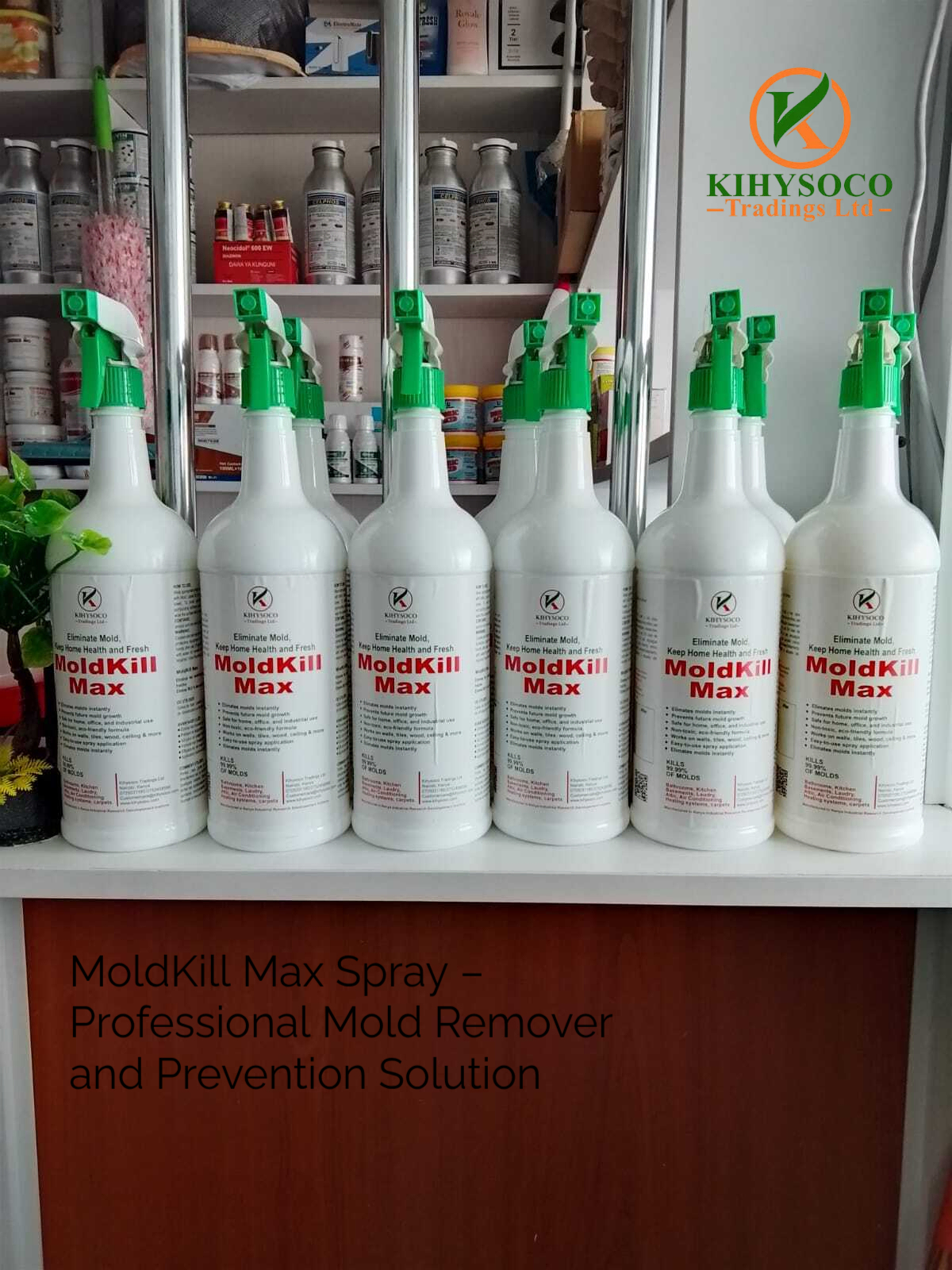 Kills Mold at the Root, Not Just the Surface: with MoldKill Max.