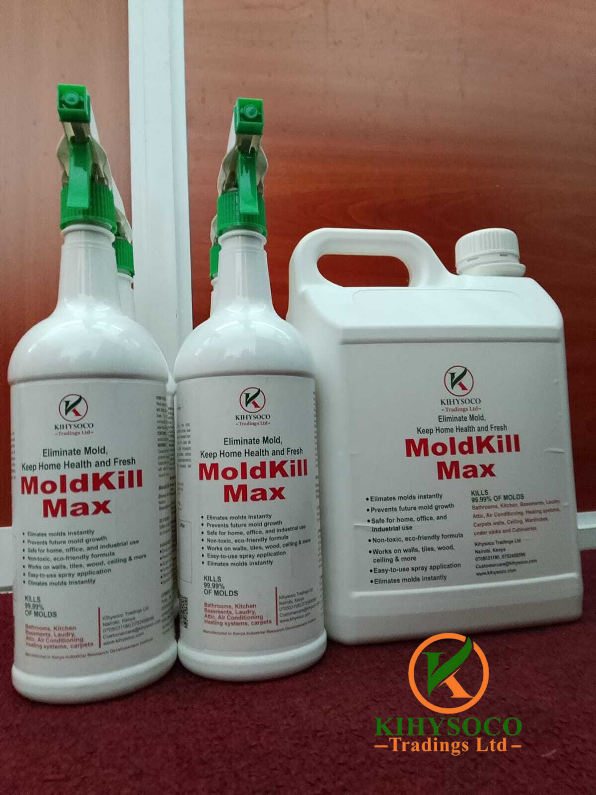 MoldKill Max Spray