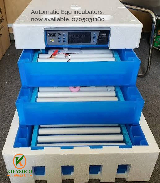 automatic egg incubators