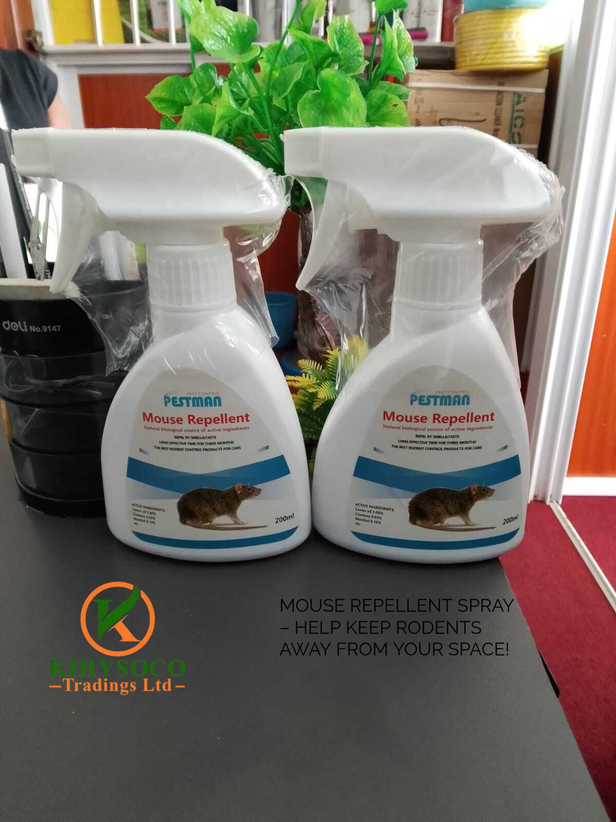 mouse repellent spray